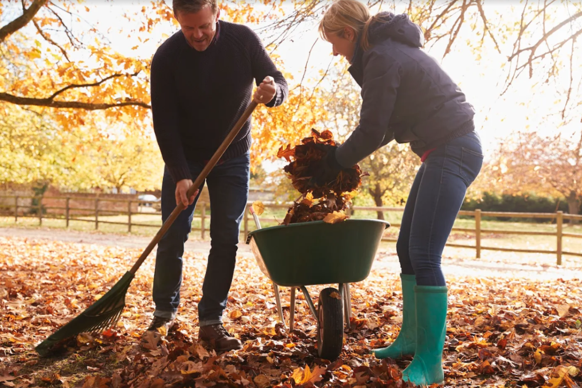 4 Tips To Keep Your Lawn Clear Of Leaves This Fall